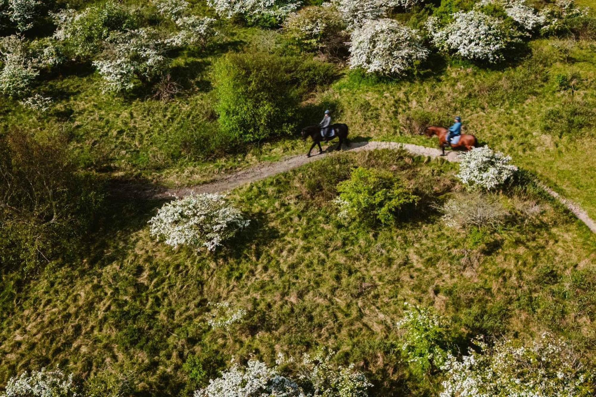 Hotel Das Miramar ボルクム エクステリア 写真